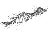 DNA Human 3D Model