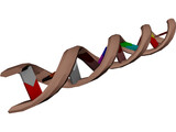 DNA Molecule 3D Model preview