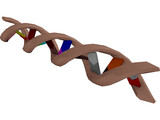 DNA Molecule 3D Model
