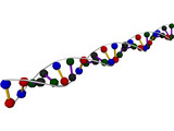DNA Strand 3D Model preview