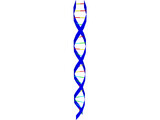 DNA Strand 3D Model preview