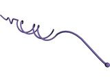 DNA Strand Helix 3D Model preview