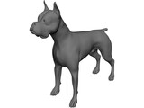 Dog Boxer 3D Model preview