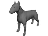 Dog Bull Terrier 3D Model preview