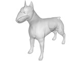 Dog Bull Terrier 3D Model