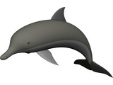 Dolphin 3D Model preview