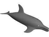 Dolphin 3D Model preview