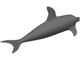 Dolphin 3D Model