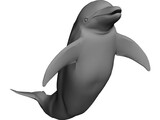 Dolphin 3D Model preview