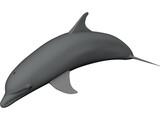 Dolphin Bottle-Nosed 3D Model preview