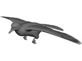 Dove 3D Model preview