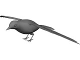 Dove Rock Pigeon 3D Model preview