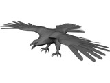 Eagle 3D Model preview