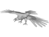 Eagle 3D Model