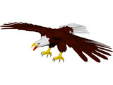 Eagle 3D Model preview