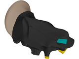 Ear 3D Model