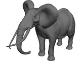 Elephant 3D Model preview