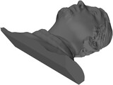 Face Human Digitalized 3D Model
