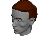 Face Muscles And Head 3D Model preview