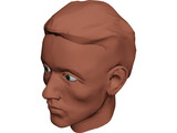 Face Muscles and Head 3D Model preview