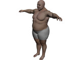Fat Catcher 3D Model preview