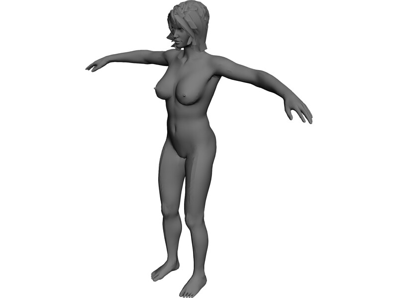 Female Anatomy Complete 3D Model