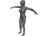 Female Anatomy Complete 3D Model preview