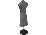 Female Mannequin Bust and Dress 3D Model