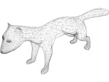 Ferret 3D Model