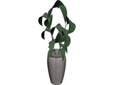 Ficus 3D Model preview