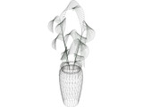 Ficus 3D Model