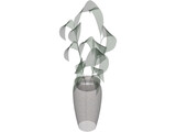 Ficus 3D Model
