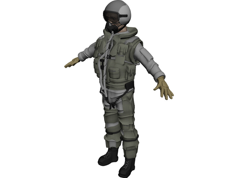 Fighter Pilot 3D Model