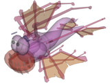 Fish 3D Model