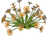 Flower Garden 3D Model preview