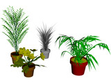Flowerpots 3D Model preview