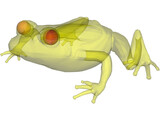 Frog 3D Model