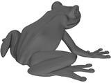 Frog 3D Model