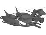 Frog Male Anatomy 3D Model
