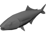 Full Fish 3D Model preview
