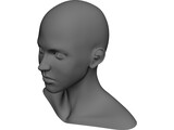 Girl Head Human 3D Model preview