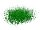 Grass 3D Model preview