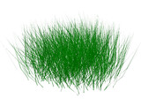 Grass 3D Model