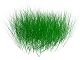 Grass 3D Model
