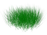 Grass 3D Model