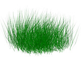 Grass 3D Model