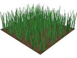 Grass 3D Model preview