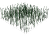 Grass 3D Model