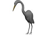 Great Egret (Ardea Alba) 3D Model preview