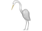 Great Egret (Ardea Alba) 3D Model
